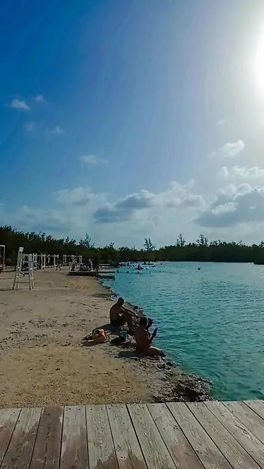 Apto Estudio En Punta Cana, Vista A La Pisicina 0*,